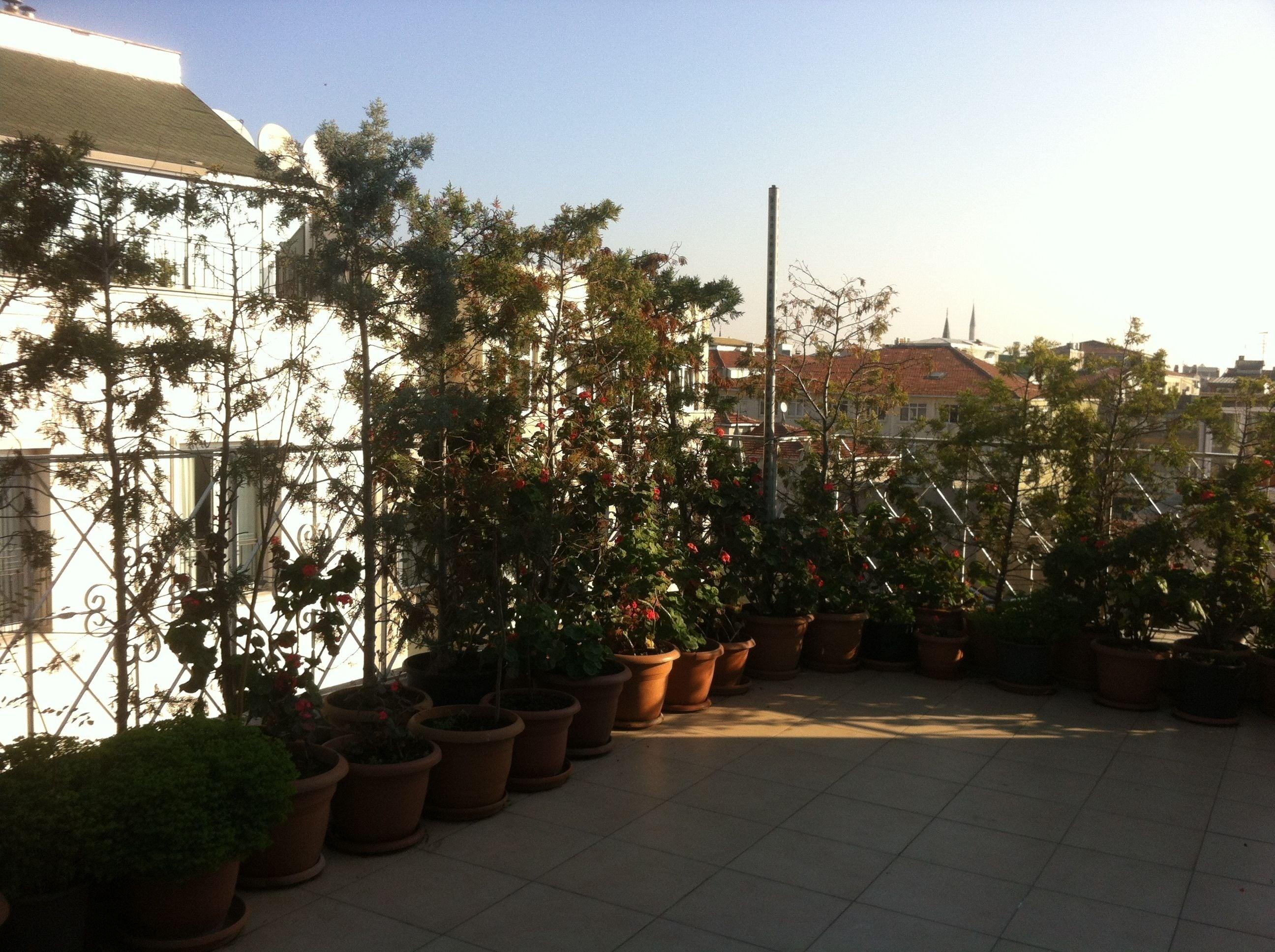 Hotel Linda — Photos 2